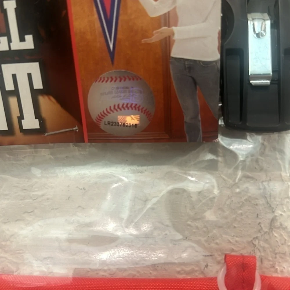 Washington Nationals wall and yard pennant
